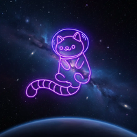 Space Cat LED Light Sign Kid Nursery Room Wall Decor