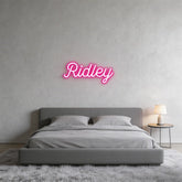 Custom Neon: Ridley