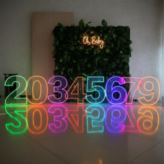 0 to 9 Number LED Neon Sign Wall Letters Light Party Decoration