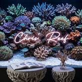 Custom Neon: Chris' Reef