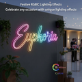 Permanent Smart RGB Outdoor Lights for Halloween Christmas Decoration