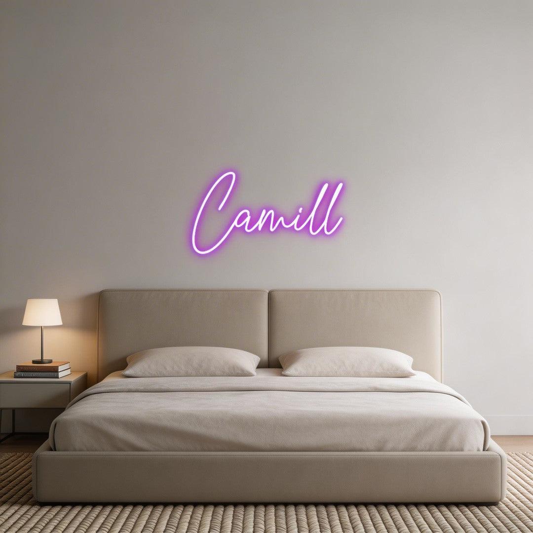 Custom Neon: Camill