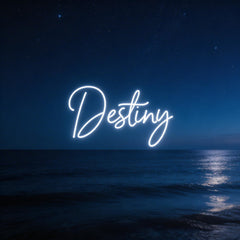 Custom Neon: Destiny