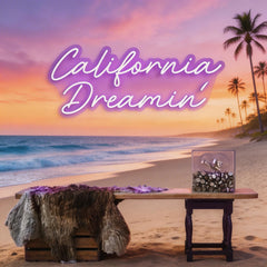 California Dreaming Neon Sign