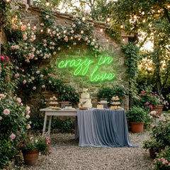 Crazy In Love Led Neon Sign Light, Custom Wedding Neon Sign For Reception, neon light sign for wedding
