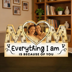 Everything I Am Is Because Of You Mothers Day Gift - Custom Shape Photo Light Box