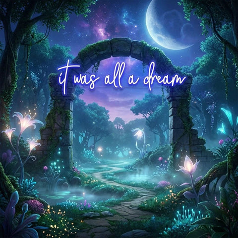 It Was All A Dream 1 Led Neon Sign Light