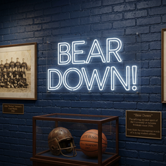 Custom Neon: BEAR DOWN!