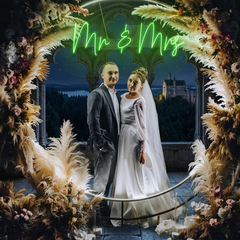 Mr Mrs Led Neon Sign Light