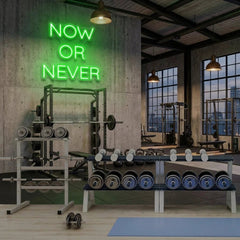 Now Or Never Led Neon Sign Light