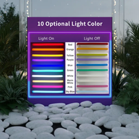 Happy Birthday Neon Signs for Party Decor