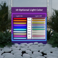 Happy Birthday Neon Signs for Party Decor