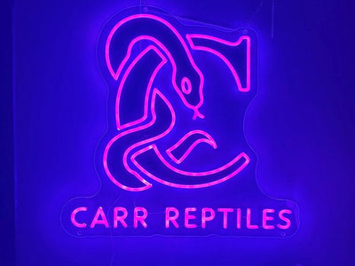 Carr Reptiles custom LED neon logo sign