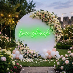 Love Struck Led Neon Sign Light