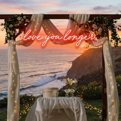 Love You Longer Led Neon Sign Light