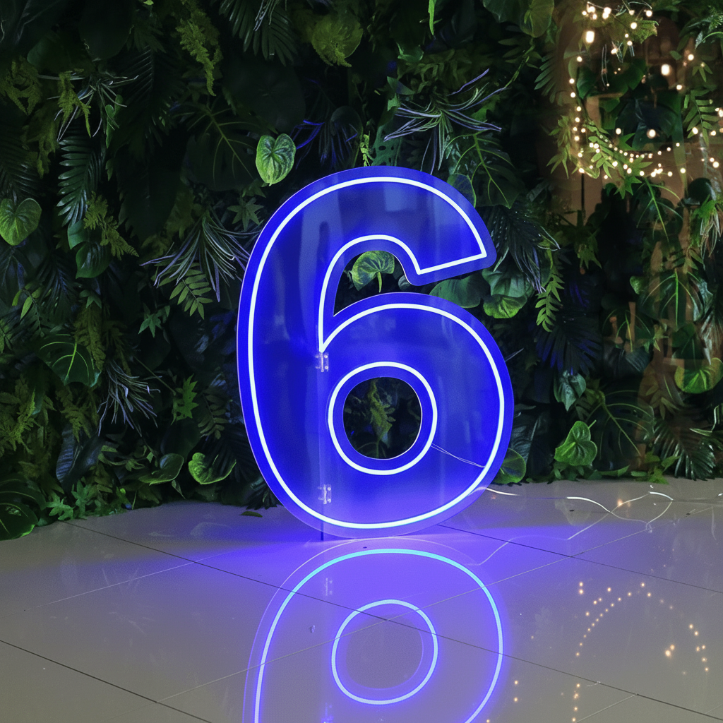 0 to 9 Number LED Neon Sign Wall Letters Light Party Decoration